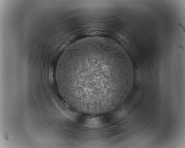 X0000099460267200805161054