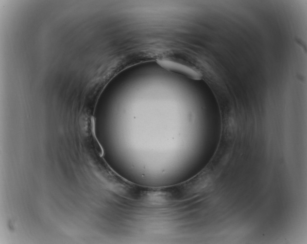 X0000099460268200805161054