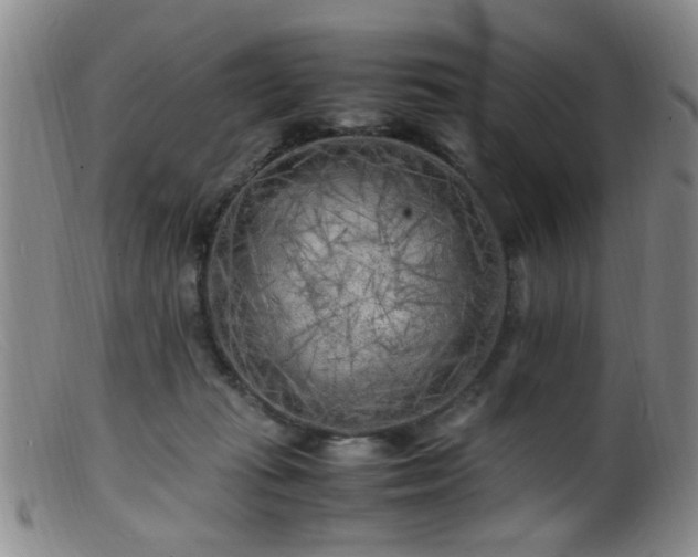 X0000099460269200805161054