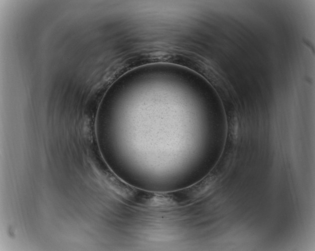 X0000099460270200805161054