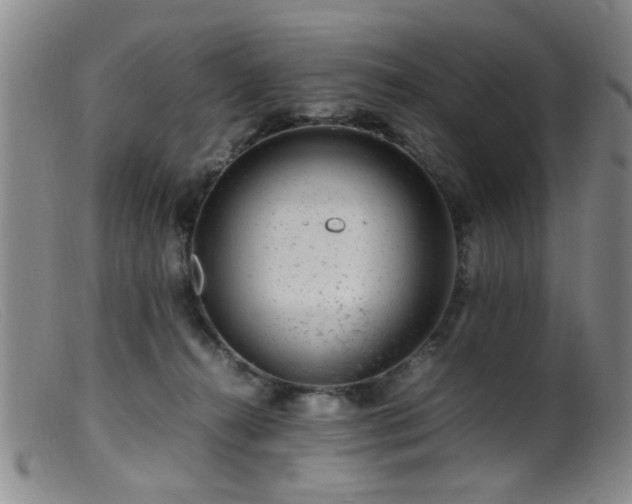 X0000099460272200805161054