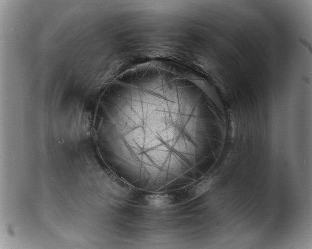 X0000099460273200805161054