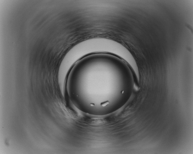 X0000099460274200805161054