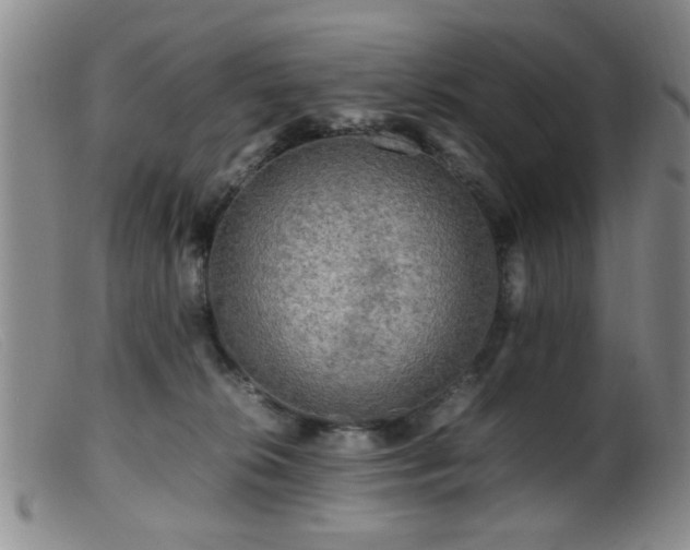 X0000099460276200805161054