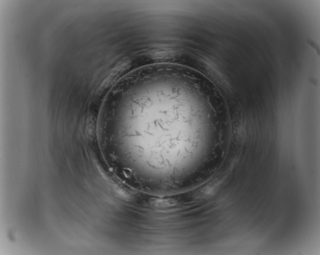 X0000099460277200805161054