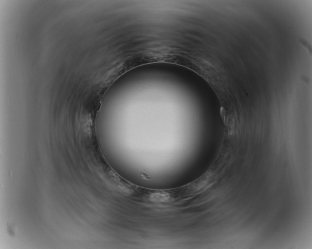 X0000099460279200805161054