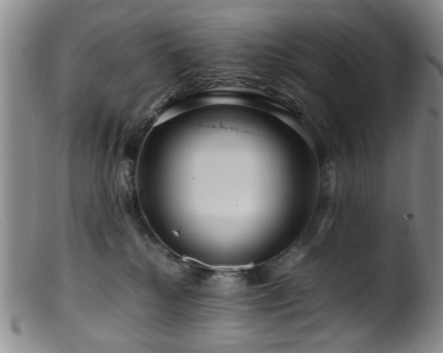 X0000099460280200805161054