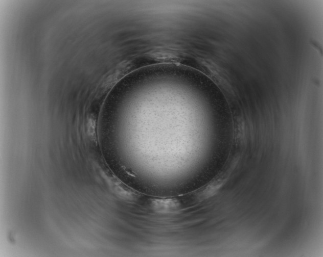 X0000099460281200805161054