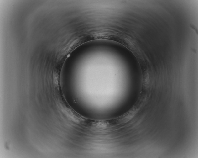 X0000099460282200805161054