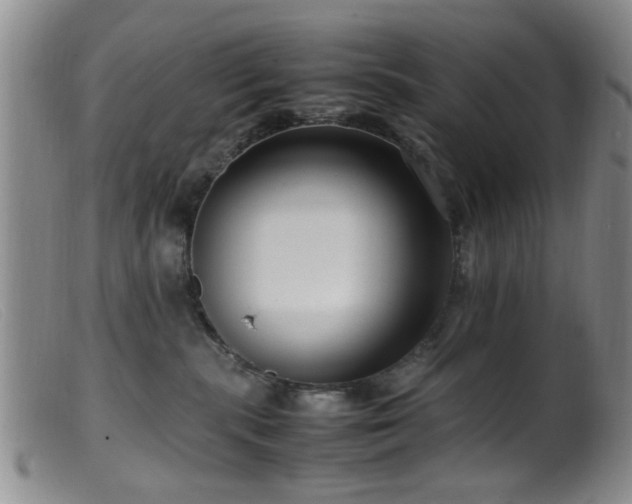 X0000099460283200805161054