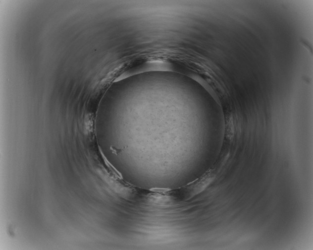 X0000099460284200805161054