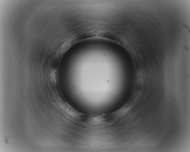 X0000099460286200805161054