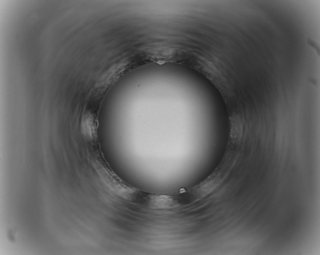 X0000099460287200805161054