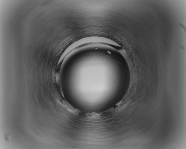 X0000099460288200805161054