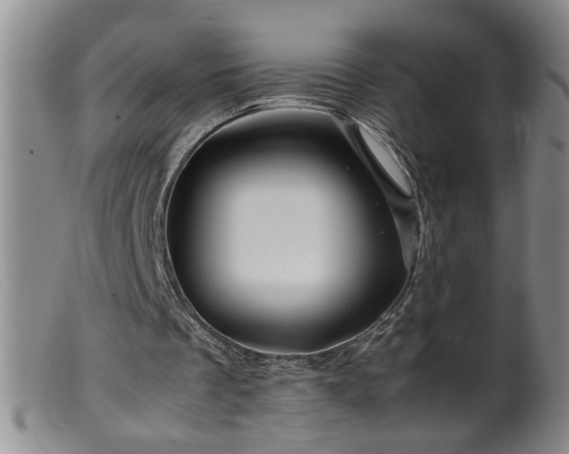 X0000099460289200805161054