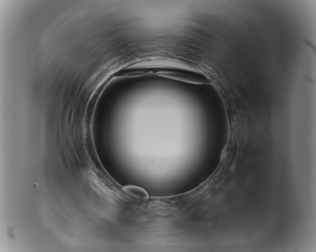 X0000099460290200805161054