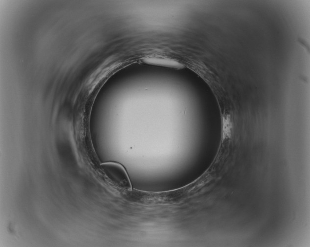 X0000099460291200805161054