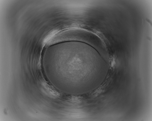 X0000099460292200805161054