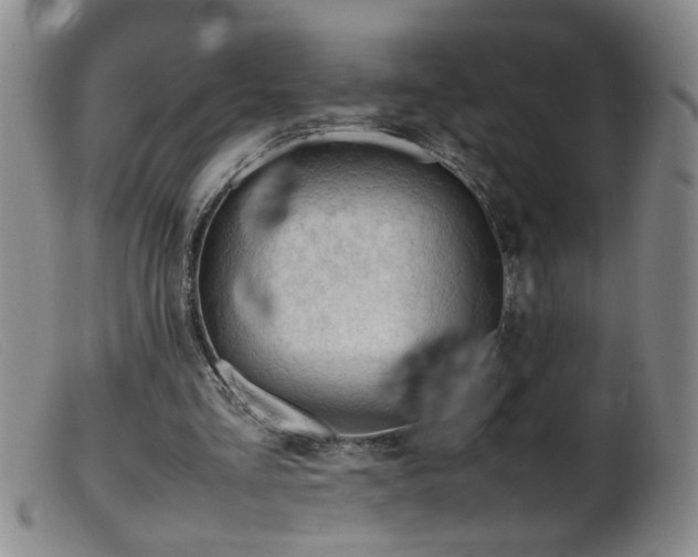 X0000099460293200805161054