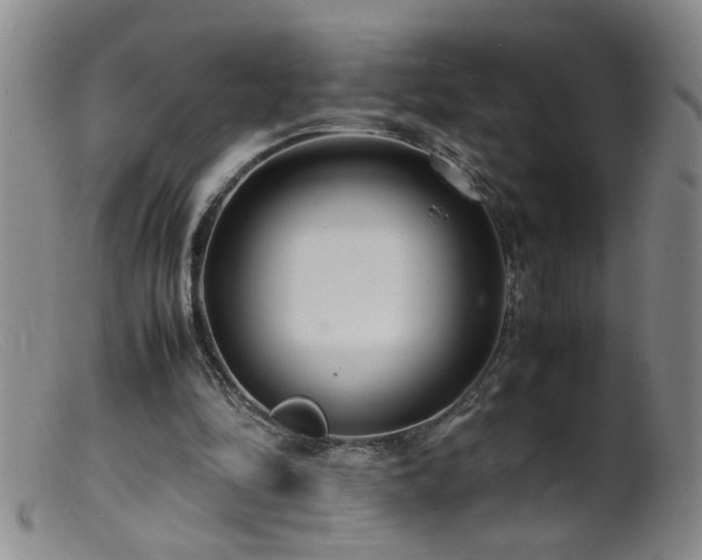 X0000099460294200805161054