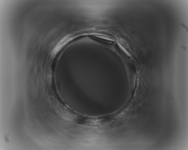 X0000099460295200805161054