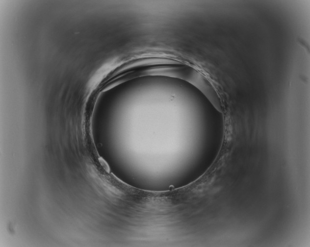 X0000099460296200805161053