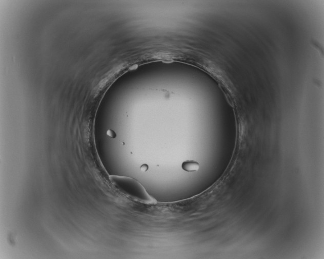 X0000099460297200805161053