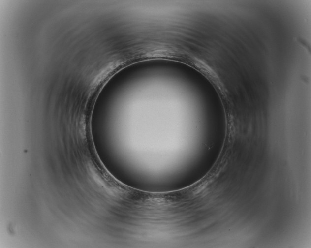 X0000099460298200805161053