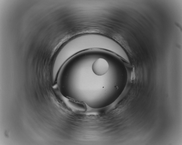 X0000099460300200805161053