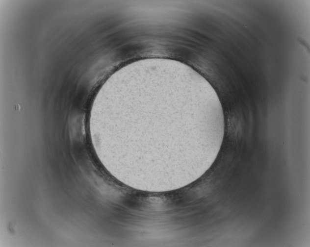 X0000099460302200805161053