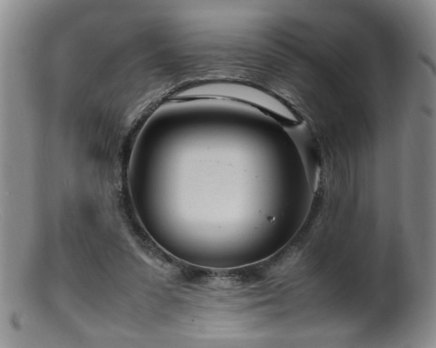 X0000099460303200805161053