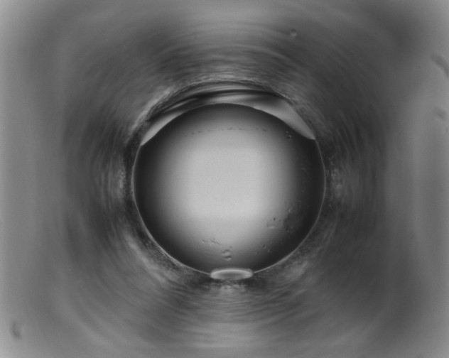 X0000099460304200805161053