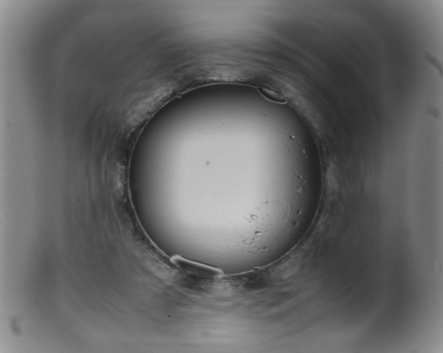 X0000099460305200805161053