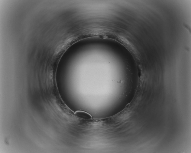 X0000099460306200805161053