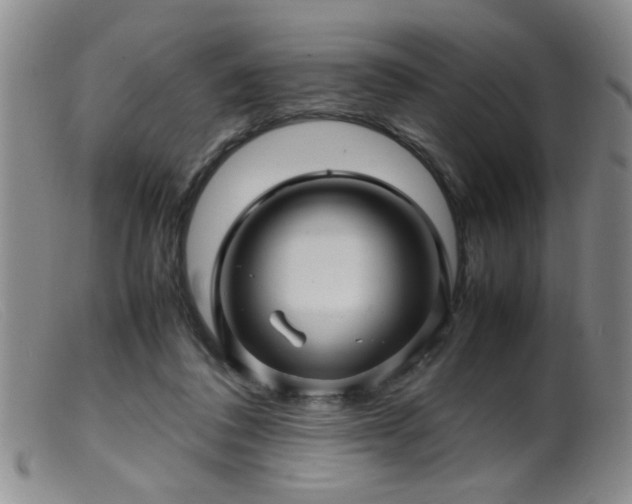 X0000099460308200805161053