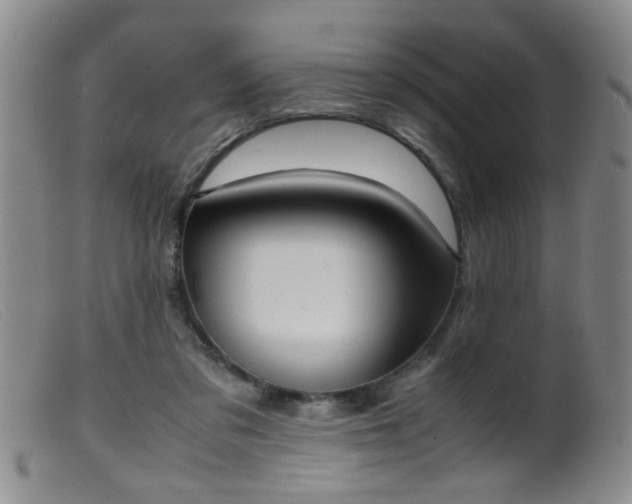 X0000099460309200805161053