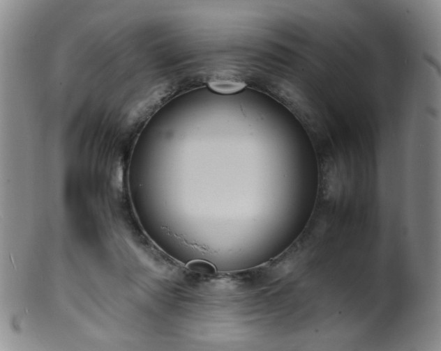 X0000099460310200805161053