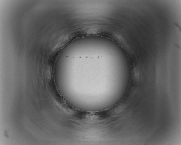 X0000099460311200805161053