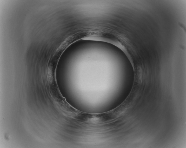 X0000099460312200805161053