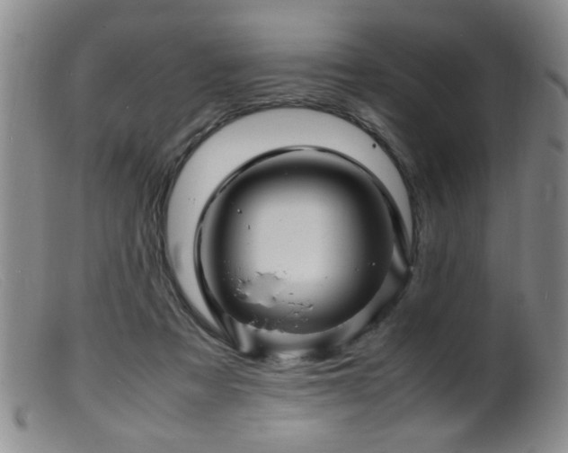 X0000099460313200805161053