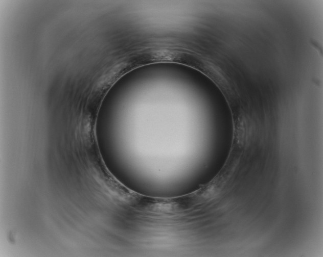 X0000099460314200805161053