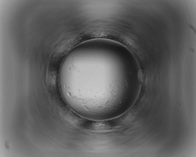 X0000099460315200805161053