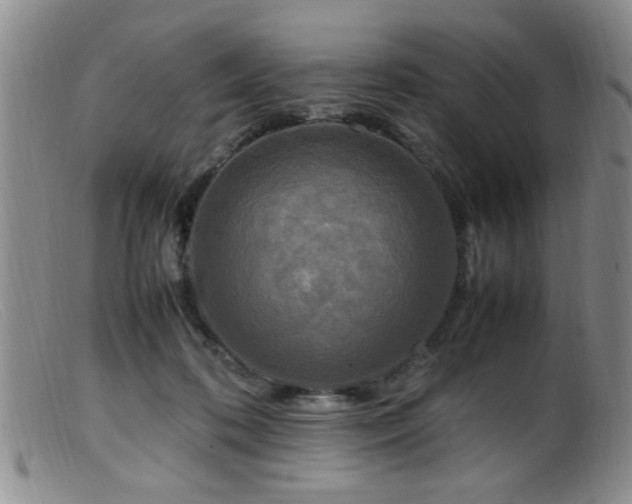 X0000099460316200805161053