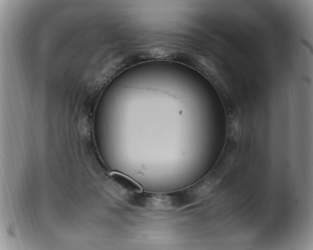 X0000099460317200805161053