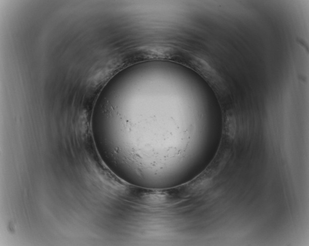 X0000099460318200805161053