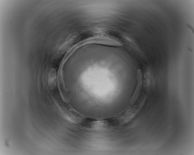 X0000099460320200805161053