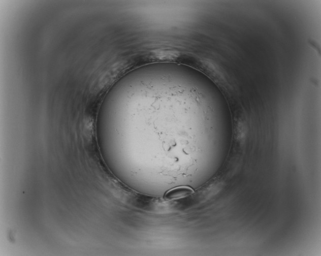 X0000099460321200805161053