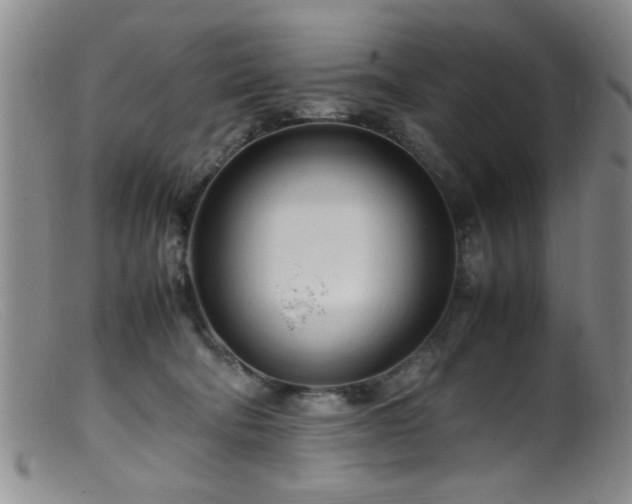 X0000099460322200805161053