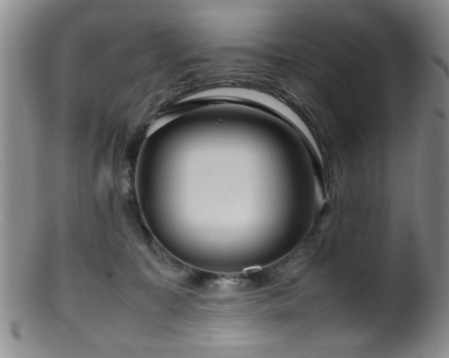 X0000099460323200805161053