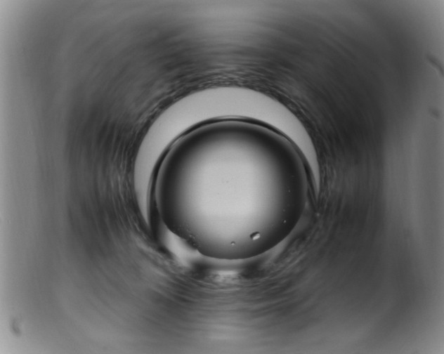 X0000099460324200805161053